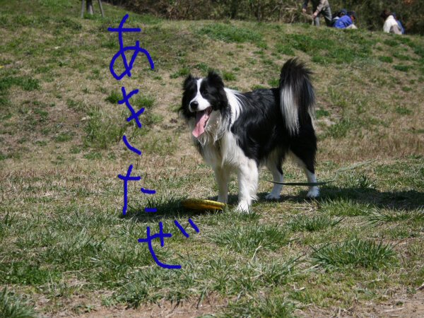 IMG_2485.JPG